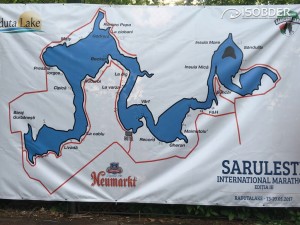 SEKTÖR DAĞILIMLARI