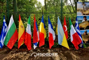 017 Saroleşti Romanya